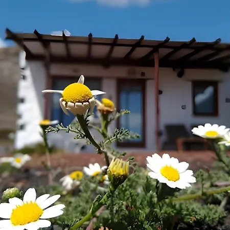 Casa de Férias Tabaiba Suites - Macaronesiahomes