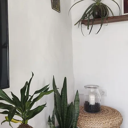Casa de Férias Tabaiba Suites - Macaronesiahomes