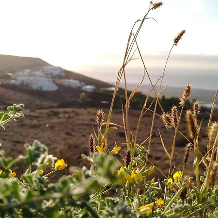 Tabaiba Suites - Macaronesiahomes La Asomada (Lanzarote)
