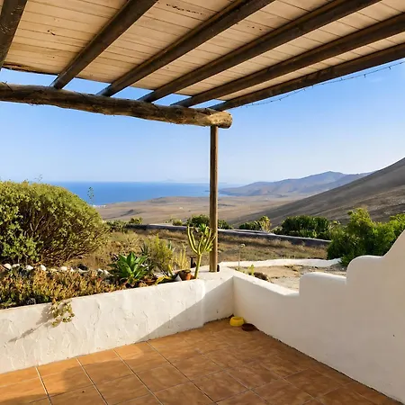 Tabaiba - Macaronesiahomes *