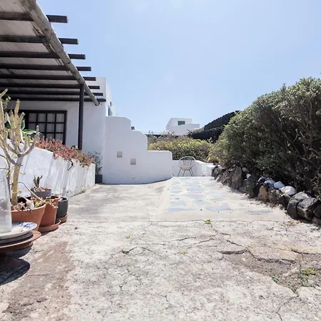 Tabaiba - Macaronesiahomes