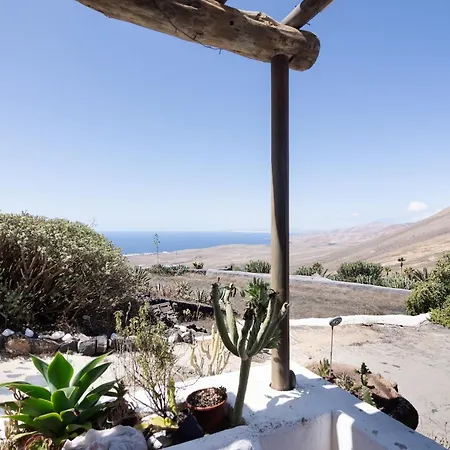 Tabaiba - Macaronesiahomes La Asomada (Lanzarote)