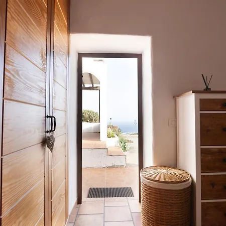 Tabaiba - Macaronesiahomes